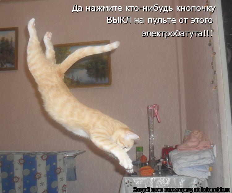 Да нажмите кто-нибудь кнопочку ВЫКЛ на пульте от этого электробатута!!!... Котоматрица: Да нажмите кто-нибудь кнопочку ВЫКЛ на пульте от этого электробатута!!!