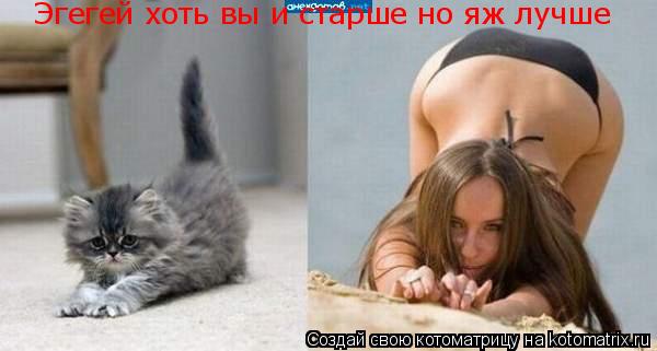 Эгегей хоть вы и старше но яж лучше... Котоматрица: Эгегей хоть вы и старше но яж лучше