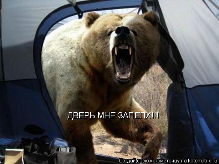 ДВЕРЬ МНЕ ЗАПЕЛИ!!!... Котоматрица: ДВЕРЬ МНЕ ЗАПЕЛИ!!!