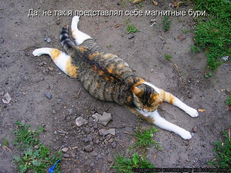 Да, не так я представлял себе магнитные бури...... Котоматрица: Да, не так я представлял себе магнитные бури...