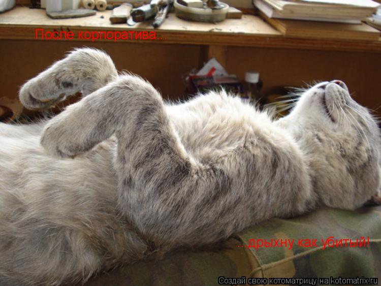 После корпоратива... ...дрыхну как убитый!... Котоматрица: После корпоратива... ...дрыхну как убитый!