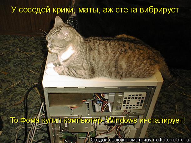 У соседей крики, мaты, аж стена вибрирует То Фома купил компьютер- Windows инсталирует!... Котоматрица: У соседей крики, мaты, аж стена вибрирует То Фома купил компьютер- Windows инсталирует!
