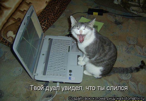Твой дуал увидел, что ты слился... Котоматрица: Твой дуал увидел, что ты слился
