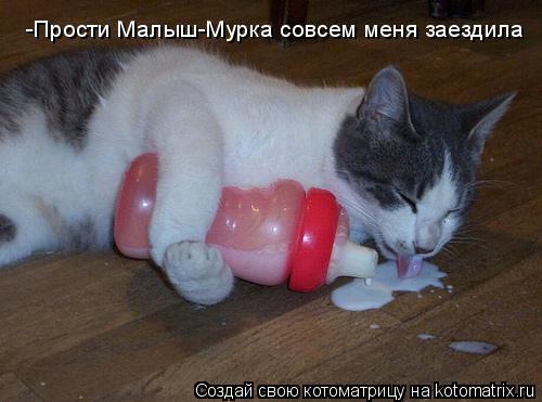 Котоматрица: -Прости Малыш-Мурка совсем меня заездила