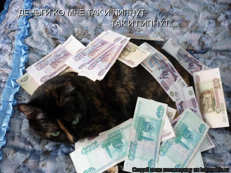 Котоматрица: ДЕНЬГИ КО МНЕ ТАК И ЛИПНУТ ТАК И ЛИПНУТ....