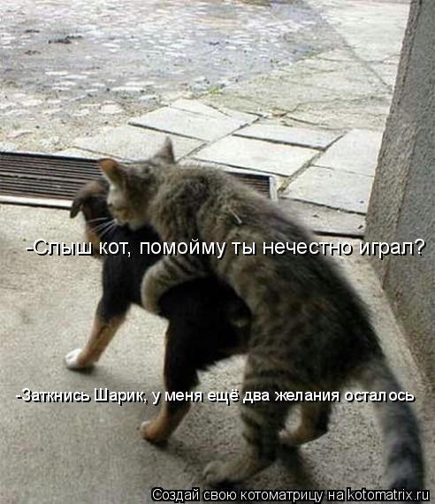 Котоматрица: -Слыш кот, помойму ты нечестно играл? -Заткнись Шарик, у меня ещё два желания осталось