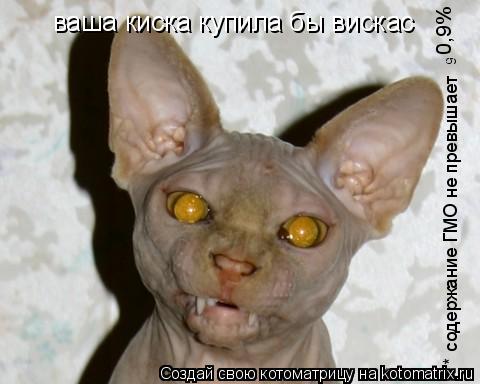 Котоматрица: ваша киска купила бы вискас * содержание ГМО не превышает 9 0,9%