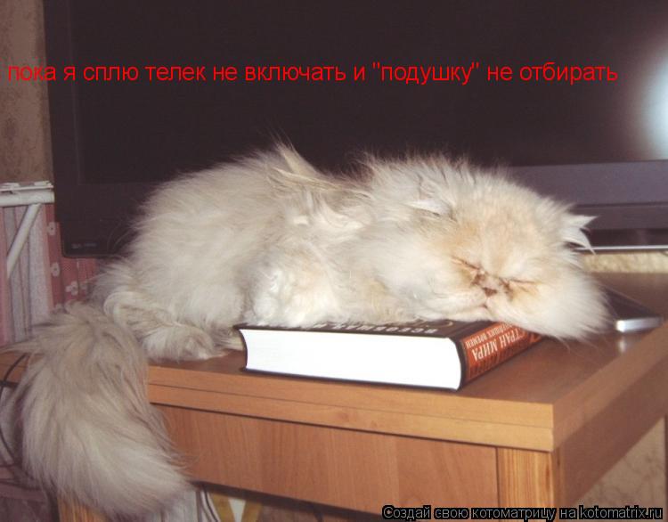 пока я сплю телек не включать и "подушку" не отбирать... Котоматрица: пока я сплю телек не включать и "подушку" не отбирать