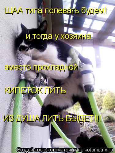 ЩАА типа полевать будем! и тогда у хозяина вместо прохладной КИПЕТОК ЛИТЬ ИЗ ДУША ЛИТЬ БЫДЕТ!!!... Котоматрица: ЩАА типа полевать будем! и тогда у хозяина вместо прохладной КИПЕТОК ЛИТЬ ИЗ ДУША ЛИТЬ БЫДЕТ!!!