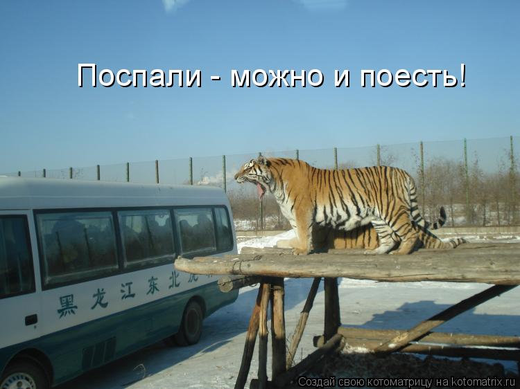 Поспали - можно и поесть!... Котоматрица: Поспали - можно и поесть!
