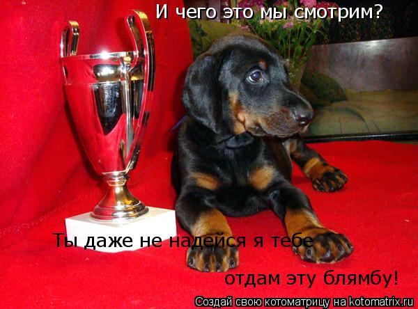 И чего это мы смотрим?Ты даже не надейся я тебе не отдам эту блямбу! И чего это мы смотрим? Ты даже н... Котоматрица: И чего это мы смотрим?Ты даже не надейся я тебе не отдам эту блямбу! И чего это мы смотрим? Ты даже не надейся я тебе отдам эту блямбу!