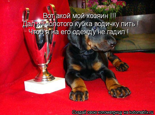 Вот акой мой хозяин !!! Дал из золотого кубка водичку пить ! Чтоб я на его одежду не гадил !... Котоматрица: Вот акой мой хозяин !!! Дал из золотого кубка водичку пить ! Чтоб я на его одежду не гадил !