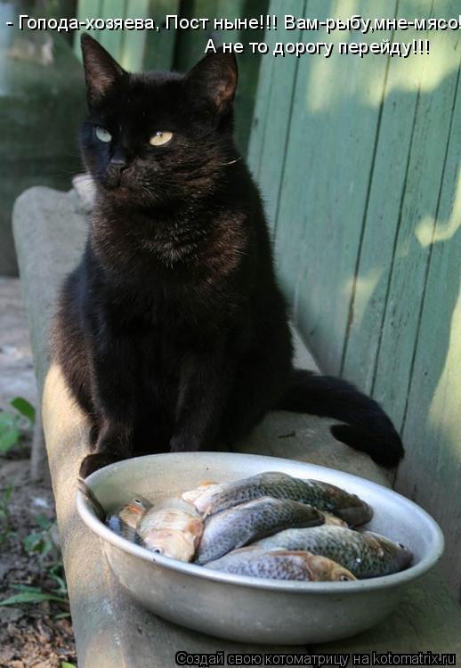 - Гопода-хозяева, Пост ныне!!! Вам-рыбу,мне-мясо! А не то дорогу перейду!!!... Котоматрица: - Гопода-хозяева, Пост ныне!!! Вам-рыбу,мне-мясо! А не то дорогу перейду!!!