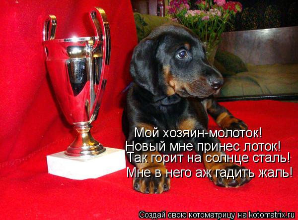 Мой хозяин-молоток! Новый мне принес лоток! Так горит на солнце сталь! Мне в него аж гадить жаль!... Котоматрица: Мой хозяин-молоток! Новый мне принес лоток! Так горит на солнце сталь! Мне в него аж гадить жаль!