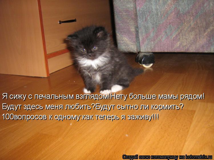 Я сижу с печальным взглядом!Нету больше мамы рядом! Будут здесь меня любить?Будут сытно ли кормить? 1... Котоматрица: Я сижу с печальным взглядом!Нету больше мамы рядом! Будут здесь меня любить?Будут сытно ли кормить? 100вопросов к одному:как теперь я заживу!!!