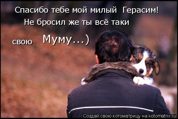 Спасибо тебе мой милый Герасим! Не бросил же ты всё таки свою Муму...)... Котоматрица: Спасибо тебе мой милый Герасим! Не бросил же ты всё таки свою Муму...)