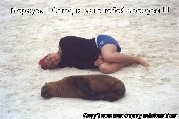 Моржуем ! Сегодня мы с тобой моржуем !!!... Котоматрица: Моржуем ! Сегодня мы с тобой моржуем !!!