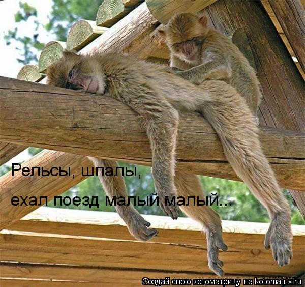 Рельсы, шпалы, ехал поезд малый малый...... Котоматрица: Рельсы, шпалы, ехал поезд малый малый...