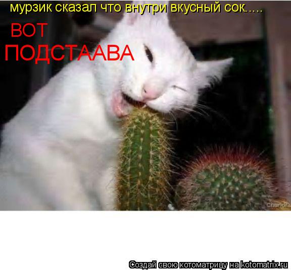 мурзик сказал что внутри вкусный сок..... ВОТ ПОДСТААВА... Котоматрица: мурзик сказал что внутри вкусный сок..... ВОТ ПОДСТААВА