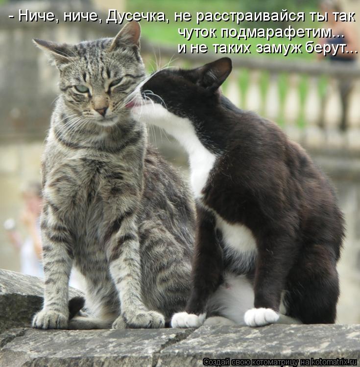 чуток подмарафетим... и не таких замуж берут... - Ниче, ниче, Дусечка, не расстраивайся ты так... Котоматрица: чуток подмарафетим... и не таких замуж берут... - Ниче, ниче, Дусечка, не расстраивайся ты так