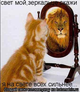 свет мой,зеркальце,скажи я на свете всех сильнее...... Котоматрица: свет мой,зеркальце,скажи я на свете всех сильнее...