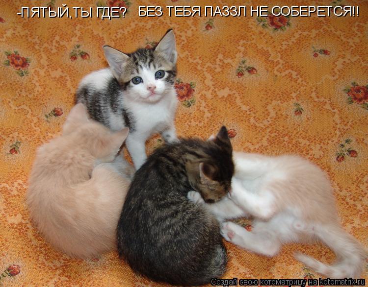 -ПЯТЫЙ,ТЫ ГДЕ? БЕЗ ТЕБЯ ПАЗЗЛ НЕ СОБЕРЕТСЯ!!... Котоматрица: -ПЯТЫЙ,ТЫ ГДЕ? БЕЗ ТЕБЯ ПАЗЗЛ НЕ СОБЕРЕТСЯ!!