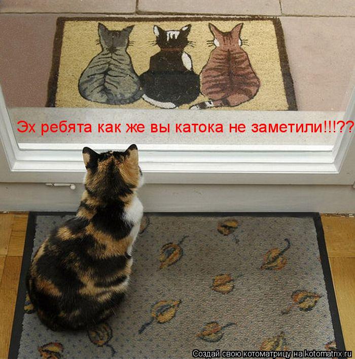 Эх ребята как же вы катока не заметили!!!??... Котоматрица: Эх ребята как же вы катока не заметили!!!??