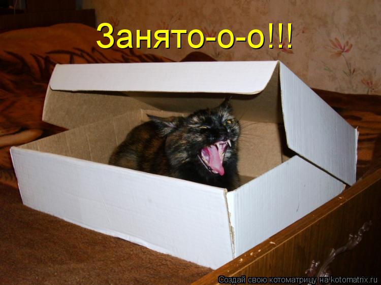 Занято-о-о!!!... Котоматрица: Занято-о-о!!!