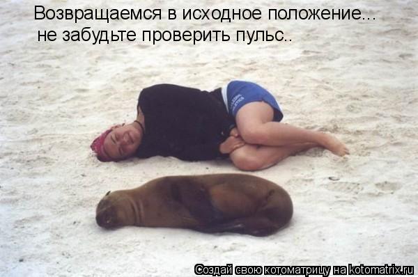 Возвращаемся в исходное положение... не забудьте проверить пульс..... Котоматрица: Возвращаемся в исходное положение... не забудьте проверить пульс..