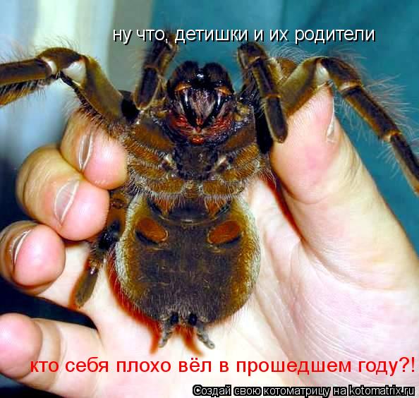 ну что, детишки и их родители ну что, детишки и их родители кто себя плохо вёл в прошедшем году?!... Котоматрица: ну что, детишки и их родители ну что, детишки и их родители кто себя плохо вёл в прошедшем году?!