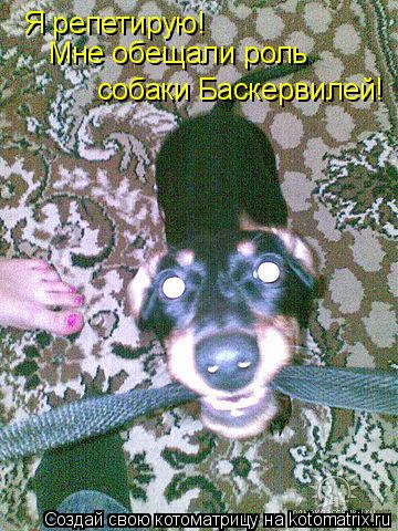 Я репетирую! Мне обещали роль собаки Баскервилей!... Котоматрица: Я репетирую! Мне обещали роль собаки Баскервилей!