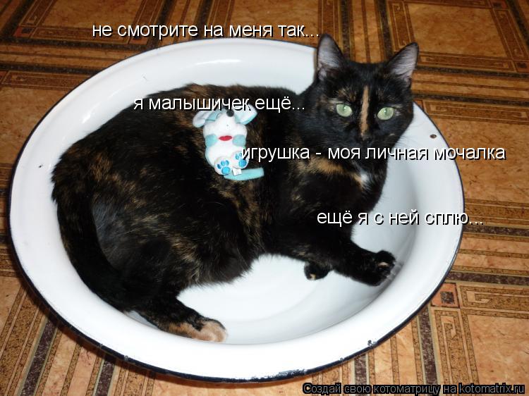 не смотрите на меня так... не смотрите на меня так... я малышичек ещё... игрушка - моя личная мочалка... Котоматрица: не смотрите на меня так... не смотрите на меня так... я малышичек ещё... игрушка - моя личная мочалка ещё я с ней сплю...