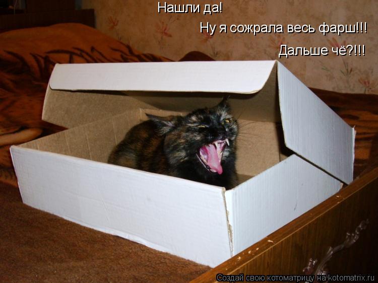 Нашли да! Ну я сожрала весь фарш!!! Дальше чё?!!!... Котоматрица: Нашли да! Ну я сожрала весь фарш!!! Дальше чё?!!!