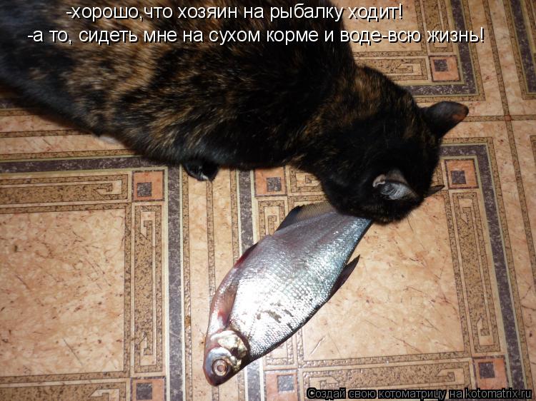 -хорошо,что хозяин на рыбалку ходит! -а то, сидеть мне на сухом корме и воде-всю жизнь!... Котоматрица: -хорошо,что хозяин на рыбалку ходит! -а то, сидеть мне на сухом корме и воде-всю жизнь!
