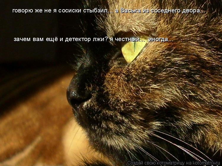 говорю же не я сосиски стыбзил... а Васька из соседнего двора... зачем вам ещё и детектор лжи? я чест... Котоматрица: говорю же не я сосиски стыбзил... а Васька из соседнего двора... зачем вам ещё и детектор лжи? я честный... иногда...