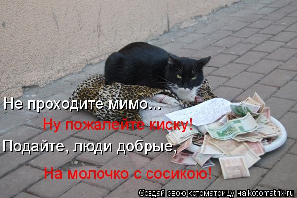 Котоматрица: Не проходите мимо... Ну пожалейте киску! Подайте, люди добрые, На молочко с сосикою!