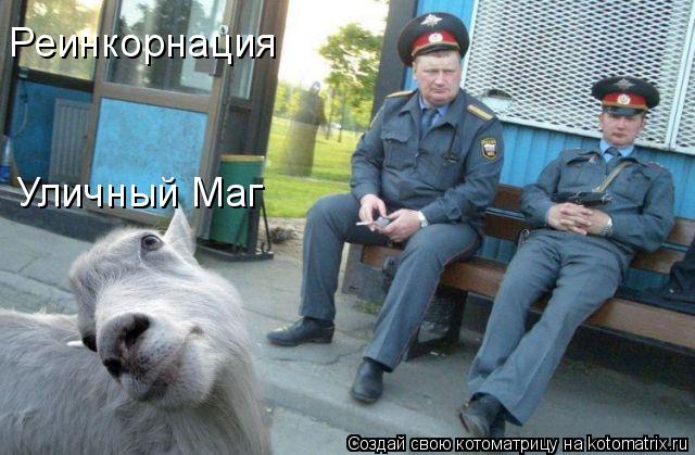 Котоматрица: Уличный Маг Реинкорнация