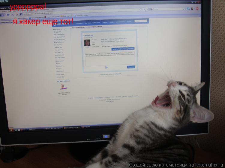 Котоматрица: урррррра! я хакер еще тот!