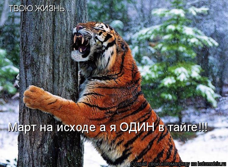 Котоматрица: ТВОЮ ЖИЗНЬ... Март на исходе а я ОДИН в тайге!!!