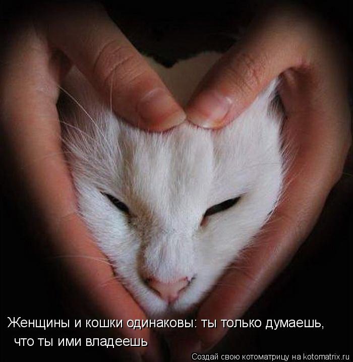 Котоматрица: Женщины и кошки одинаковы: ты только думаешь,  что ты ими владеешь