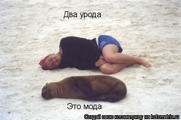 Котоматрица: Это мода Два урода