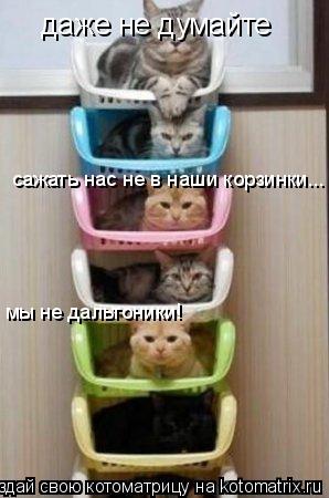 даже не думайте сажать нас не в наши корзинки... мы не дальтоники! мы не дальтоники!... Котоматрица: даже не думайте сажать нас не в наши корзинки... мы не дальтоники! мы не дальтоники!