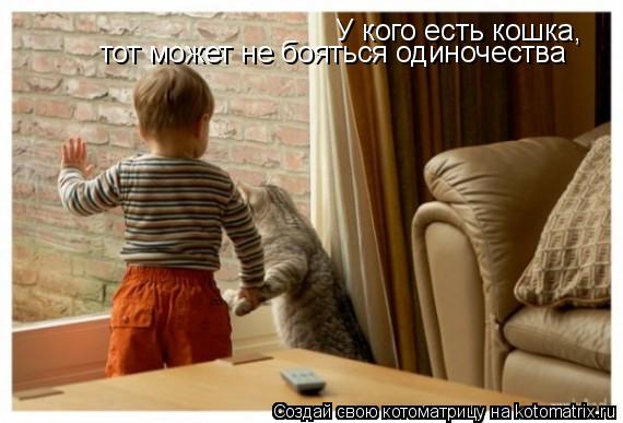 Котоматрица: У кого есть кошка,  тот может не бояться одиночества