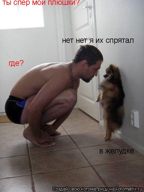 Котоматрица: ты спер мои плюшки? нет нет я их спрятал где? в желудке