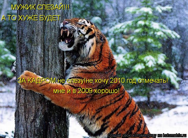 Котоматрица: МУЖИК СЛЕЗАЙ!!! А ТО ХУЖЕ БУДЕТ ЗА КАДРОМ:не слезу!не хочу 2010 год отмечать! мне и в 2009 хорошо!