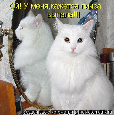 Котоматрица: Ой! У меня,кажется,линза выпала!!!