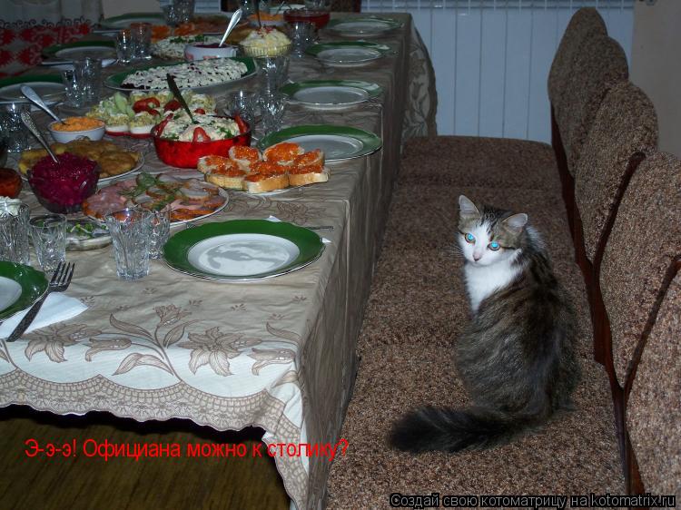 Котоматрица: Э-э-э! Официана можно к столику?