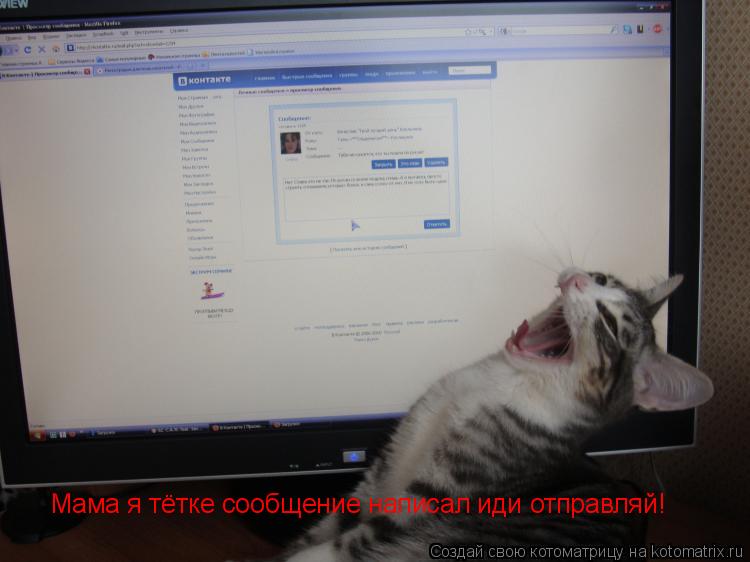 Котоматрица: Мама я тётке сообщение написал иди отправляй!