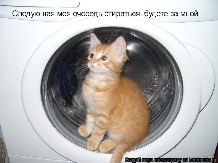 Котоматрица: Следующая моя очередь стираться, будете за мной.