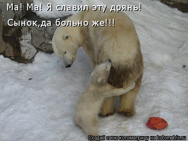 Котоматрица: Ма! Ма! Я славил эту дрянь! Сынок,да больно же!!! Ма! Ма! Я славил эту дрянь!